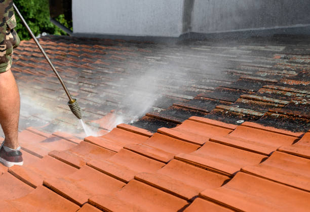 Best Exterior Home Cleaning  in Nixon, PA