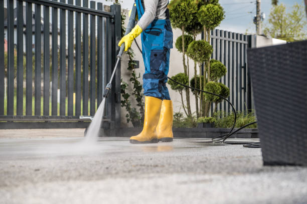 Best Roof Pressure Washing  in Nixon, PA